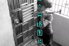 那坡企业清欠服务